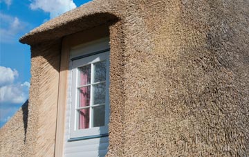 Trimstone thatch roof disadvantages
